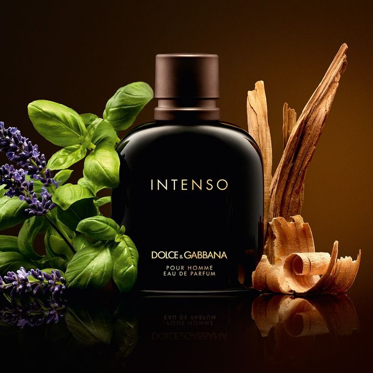 INTENSO INTENSO